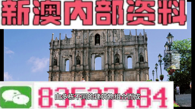 2024年澳门一肖一马期期准，全面解答解释落实_V54.13.61