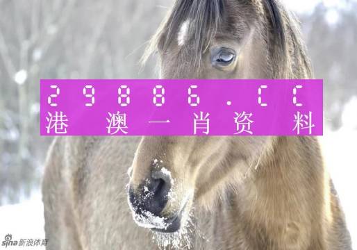 澳门一肖一码100%精准，经典解答解释落实_GM版10.27.29