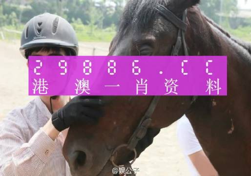 澳门今晚必中一肖一码，完美解答解释落实_ZOL31.72.87