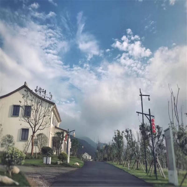 聚焦 第64页