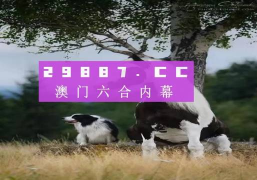 澳门一肖一码精准100王中王，及时解答解释落实_3DM62.10.19