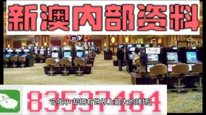 2024年新澳门王中王开奖结果，定量解答解释落实_BT34.38.13