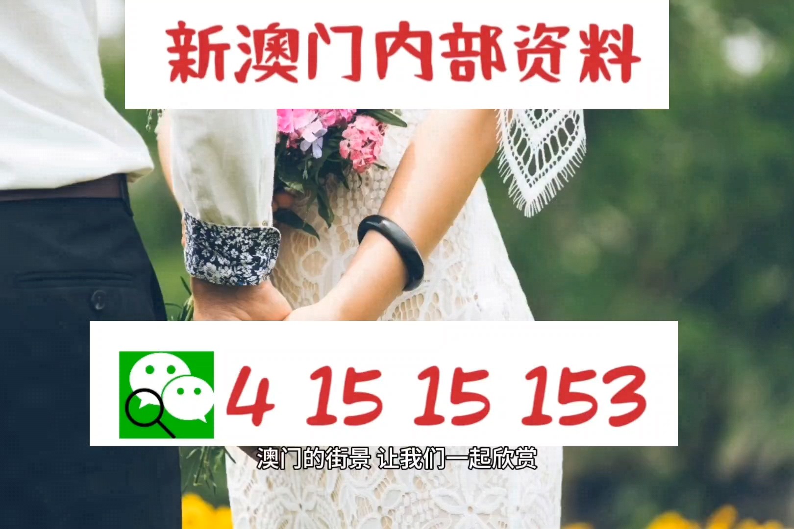澳门精准资料期期精准每天更新，科学解答解释落实_ZOL80.15.94