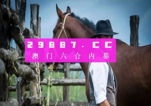 2024澳门资料正版大全一肖中特，工作解答解释落实_V79.43.93