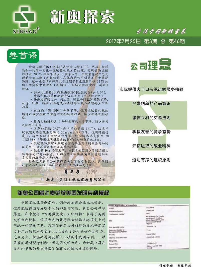 2024新奥资料免费精准051，权威解答解释落实_ZOL89.29.12